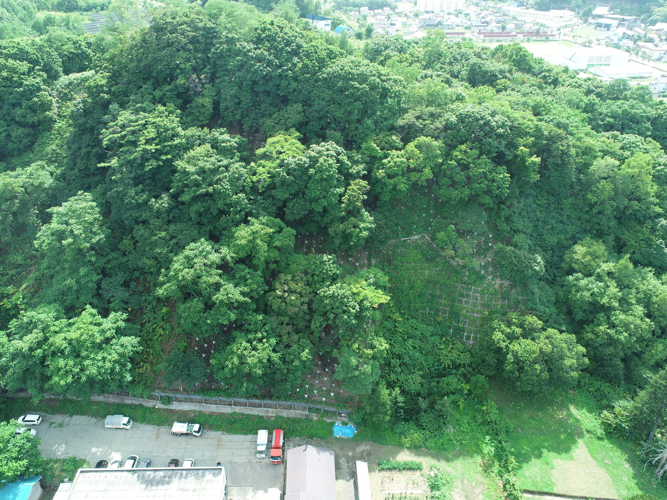 浜中地区復旧治山工事（三次補正）