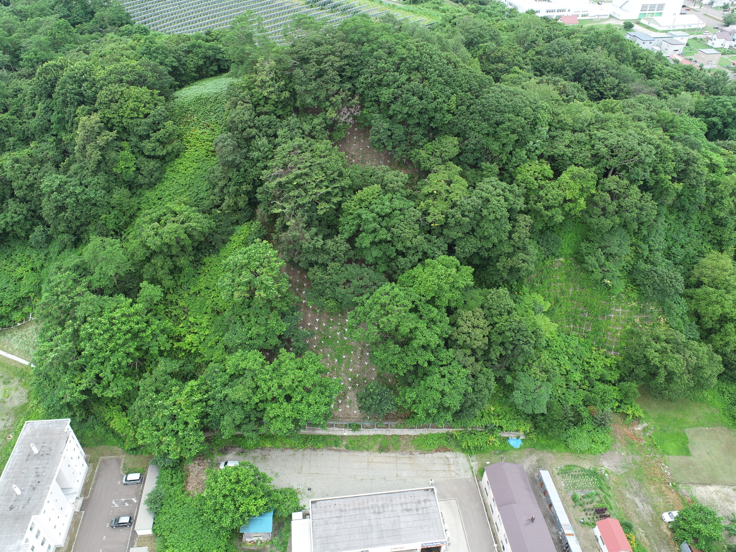 浜中地区復旧治山工事（ゼロ国債）