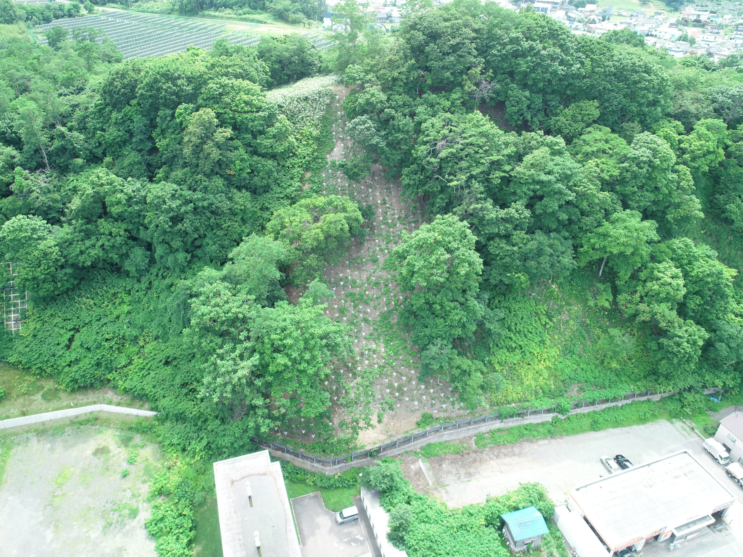 浜中地区復旧治山工事（ゼロ国債）